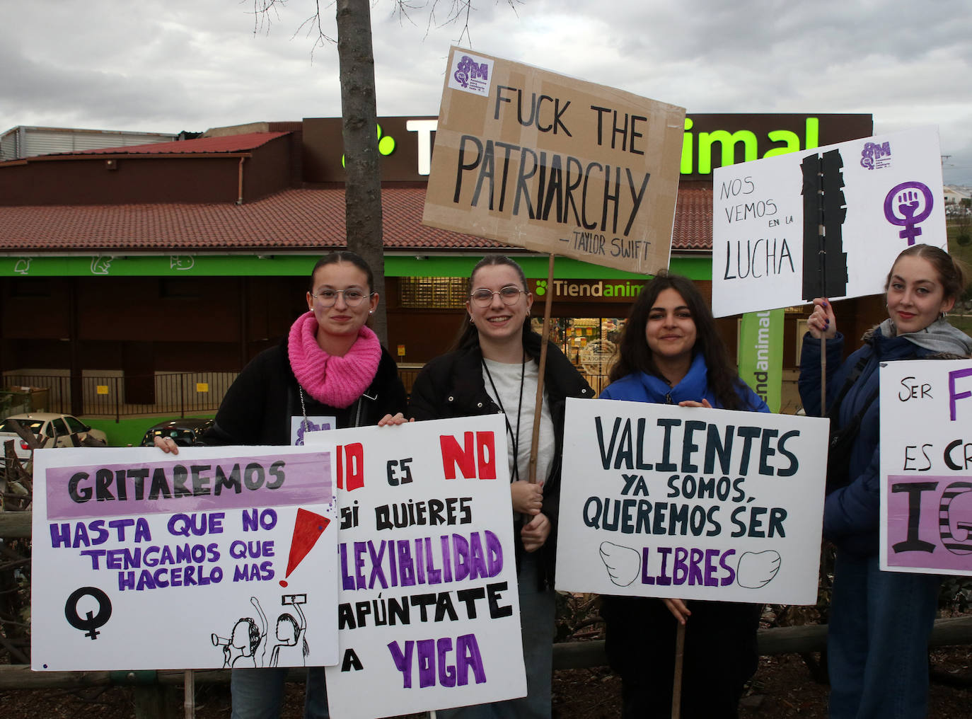 Manifestación del Día de la Mujer en Segovia. 