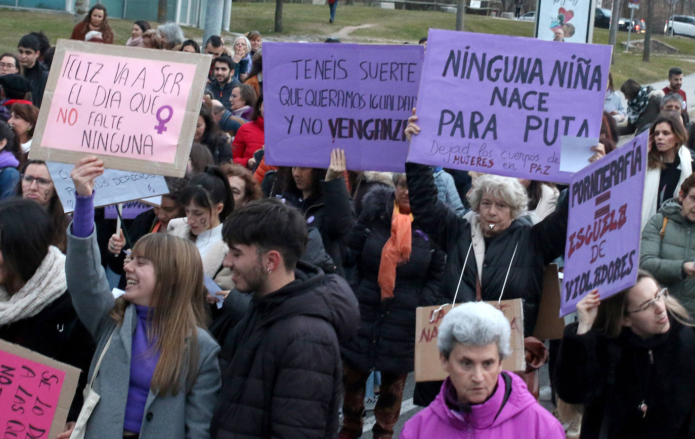 Manifestación del Día de la Mujer en Segovia. 