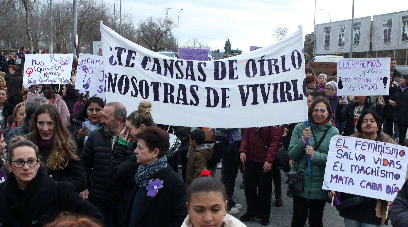 Manifestación del Día de la Mujer en Segovia. 
