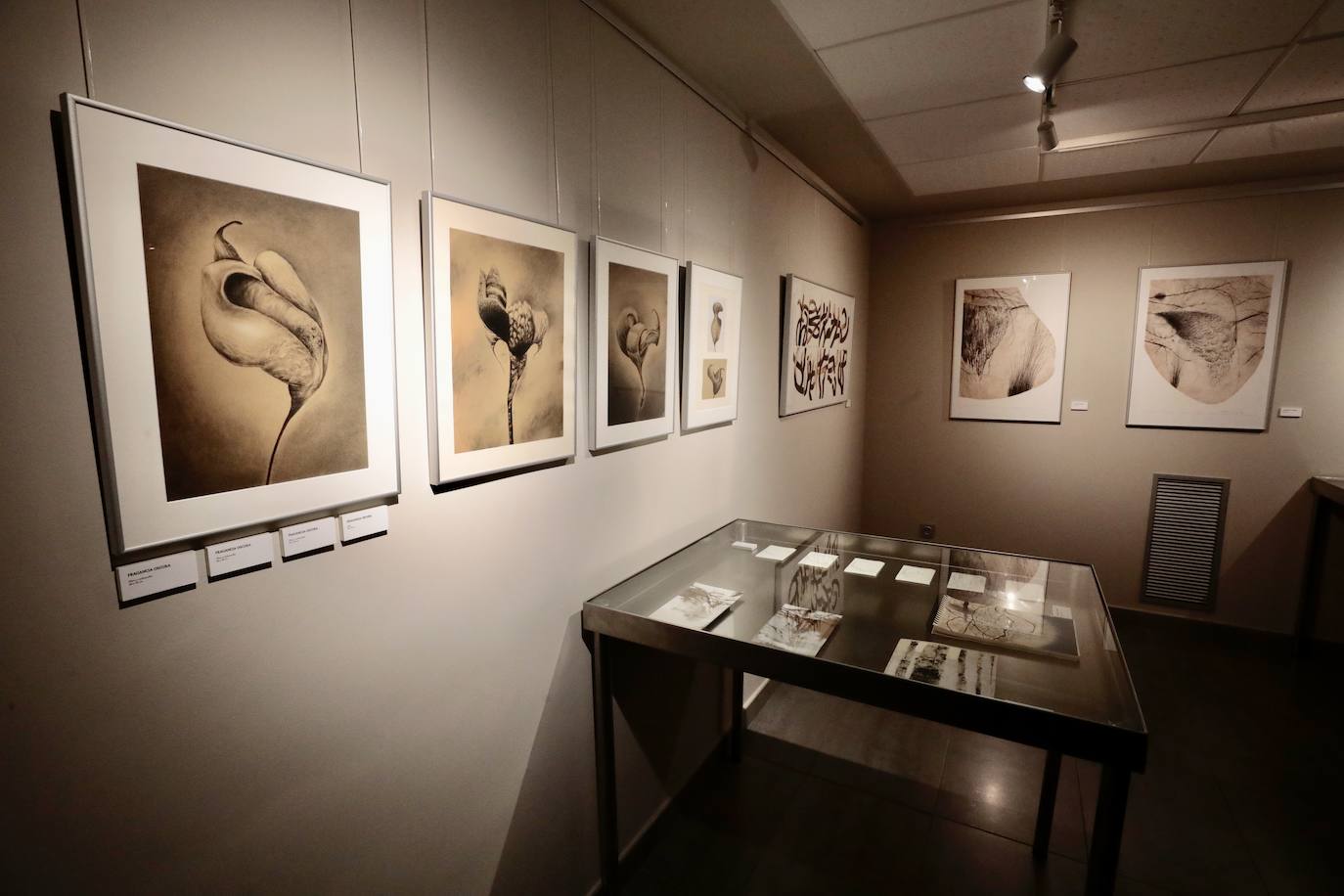 Exposición 'La senda escondida' de Joaquín Aragón.
