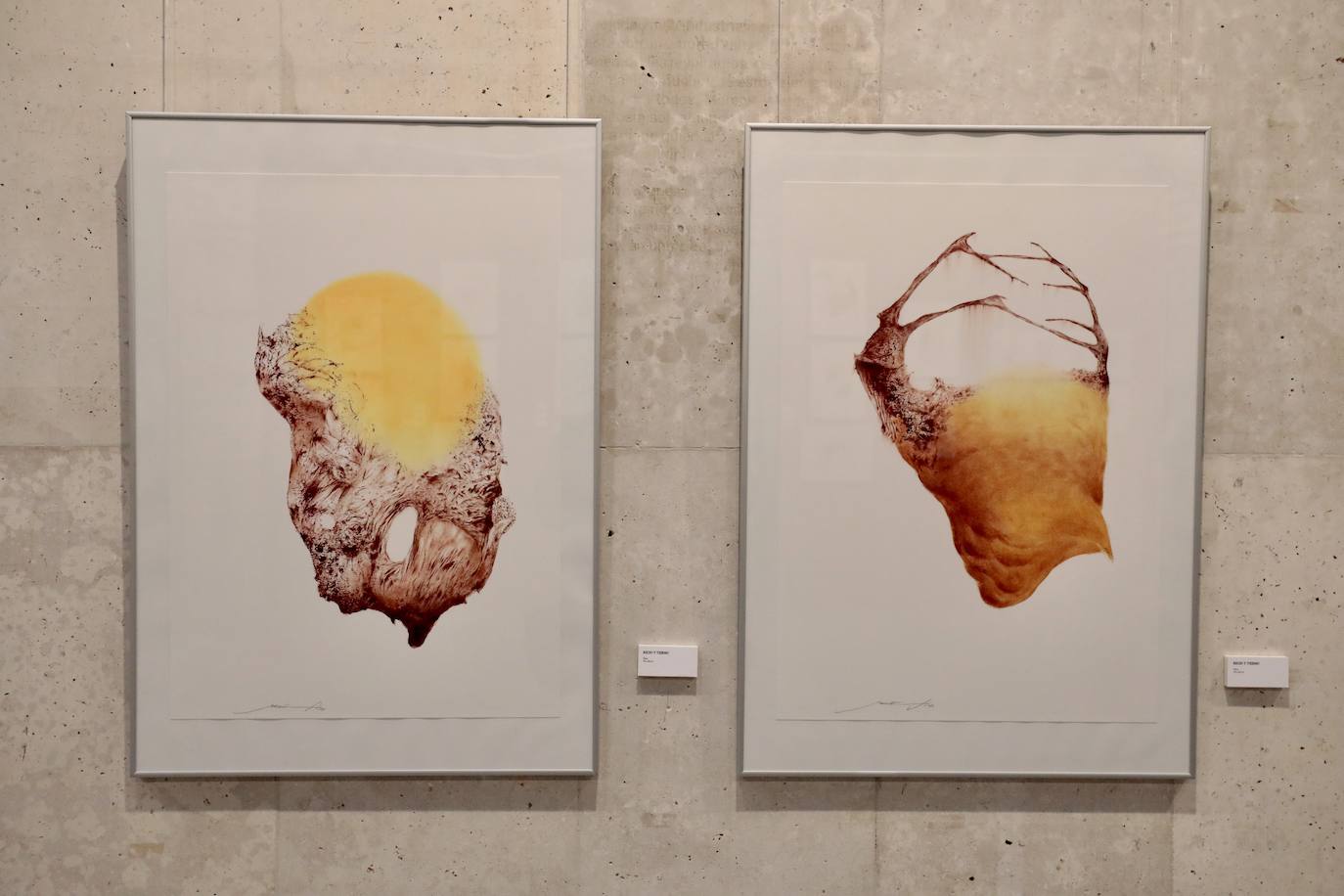 Exposición 'La senda escondida' de Joaquín Aragón.