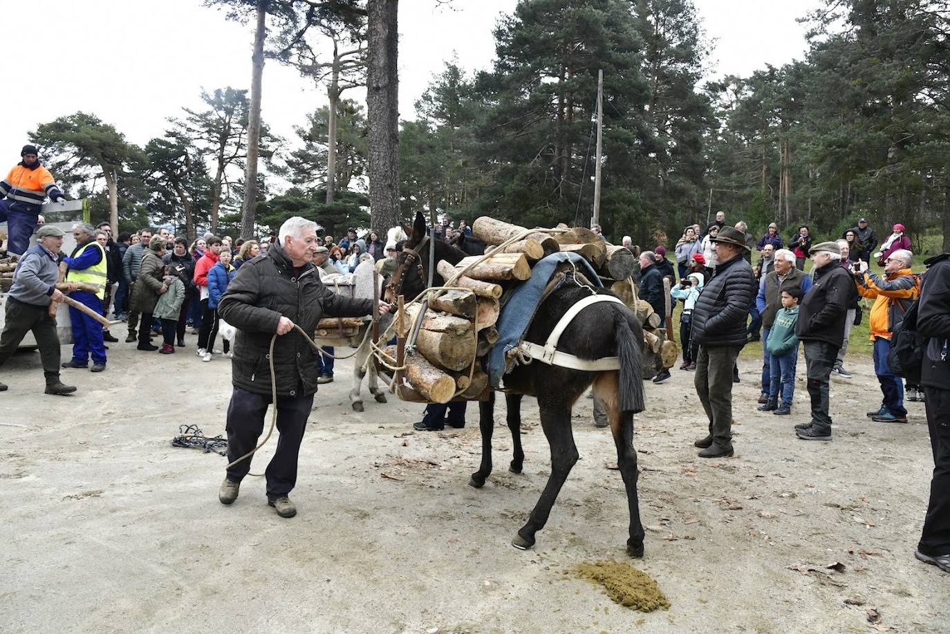 Fin de semana gabarrero en El Espinar. 