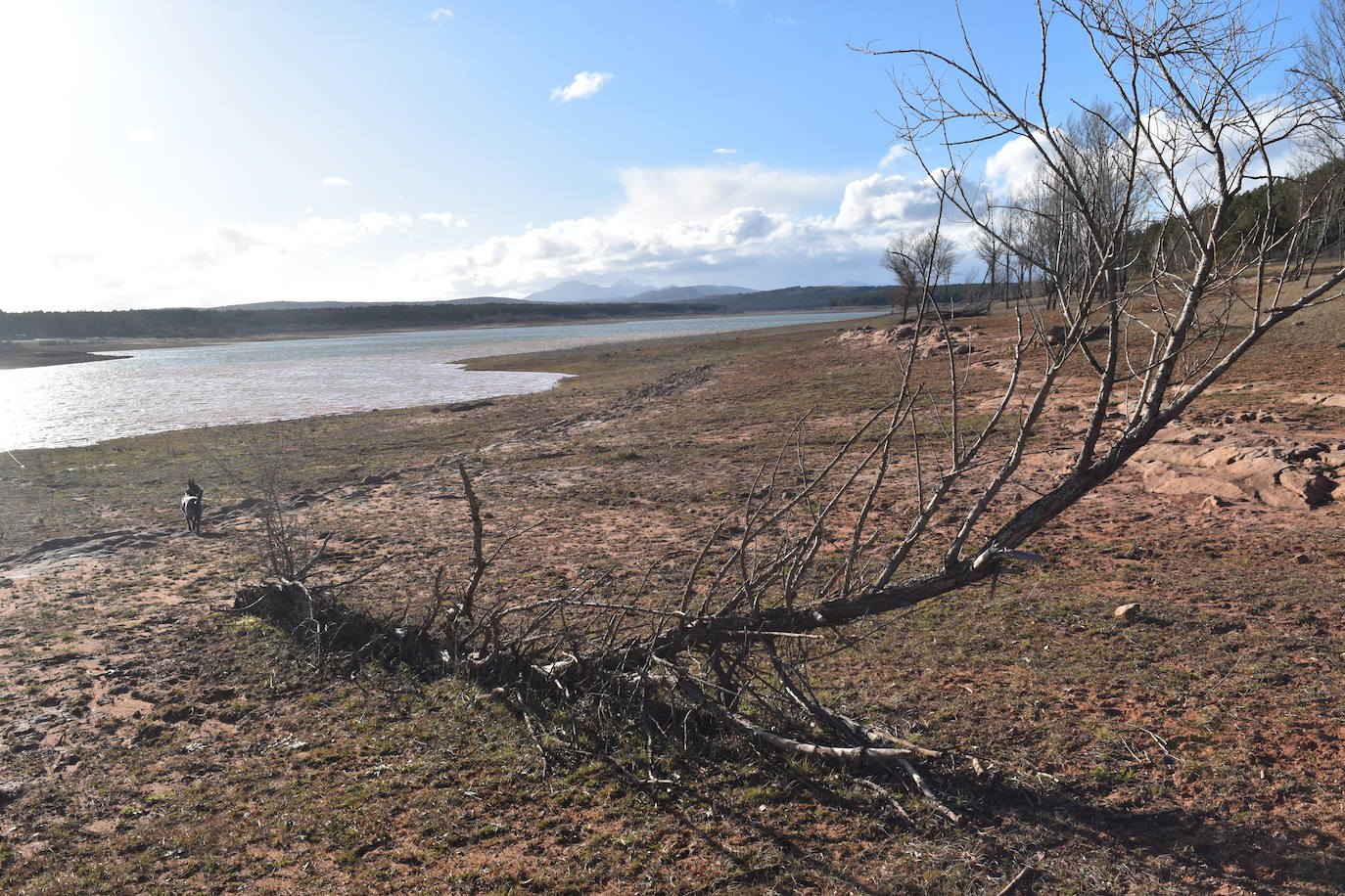 Fotos: El pantano de Aguilar llega a la primavera aún en prealerta