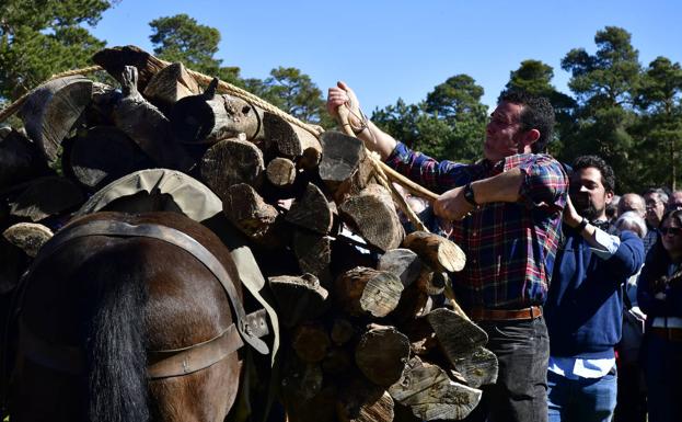 Dos hombres cargan leña en un caballo. 