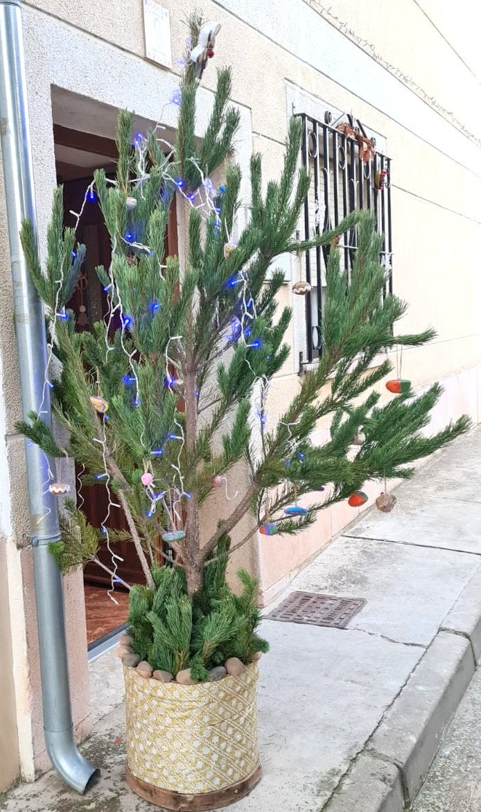 IV Concurso de Árboles de Navidad