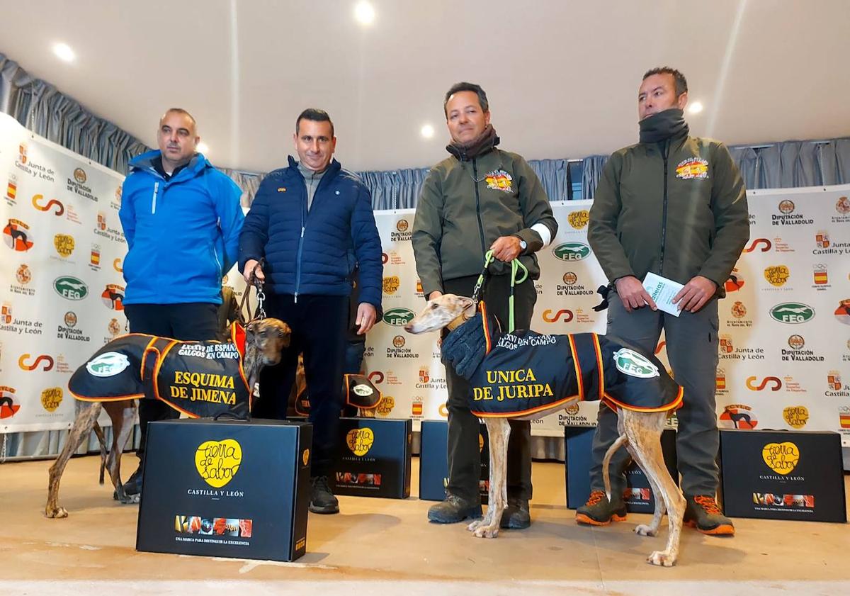 Imagen principal - Eliminada la primera perra de la región en octavos del Campeonato de España de Galgos