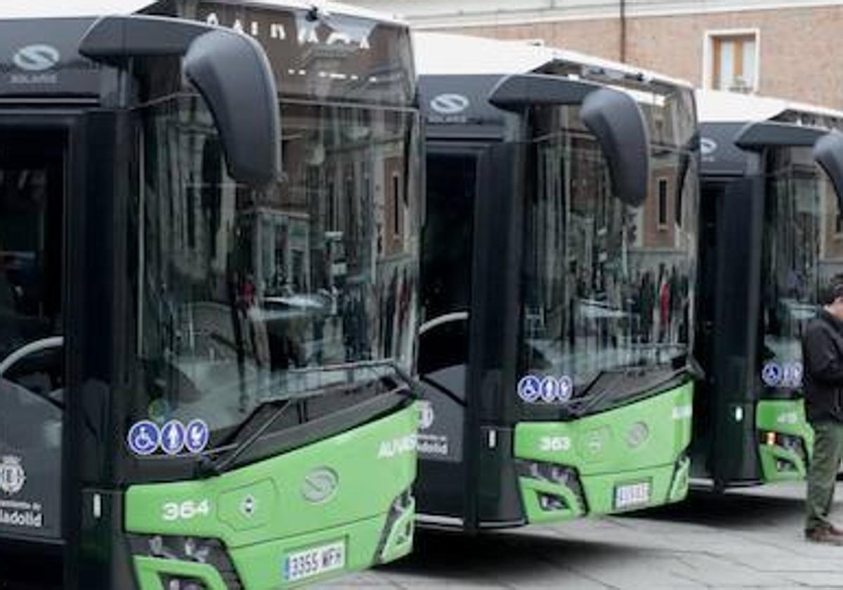 Autobuses de la compañía Auvasa.