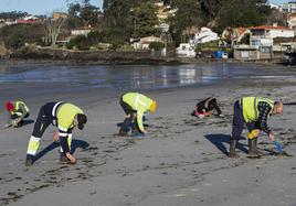 Eecogida de 'pellets' de plástico en la Playa de A Madorra en Nigrán (Pontevedra).