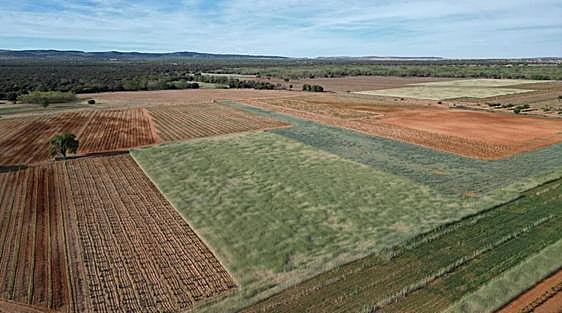 La contratación de seguros agrarios supera por primera vez los 1.000 millones