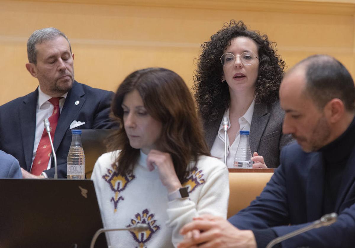 Noemó Otero, al fondo, junto al concejal de Vox, Alfonso Ceballos-Escalera (a su derecha).
