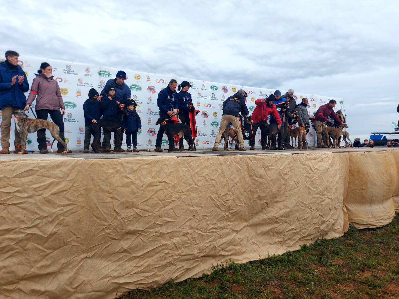 La jornada del sábado en el Campeonato de España de Galgos, en imágenes