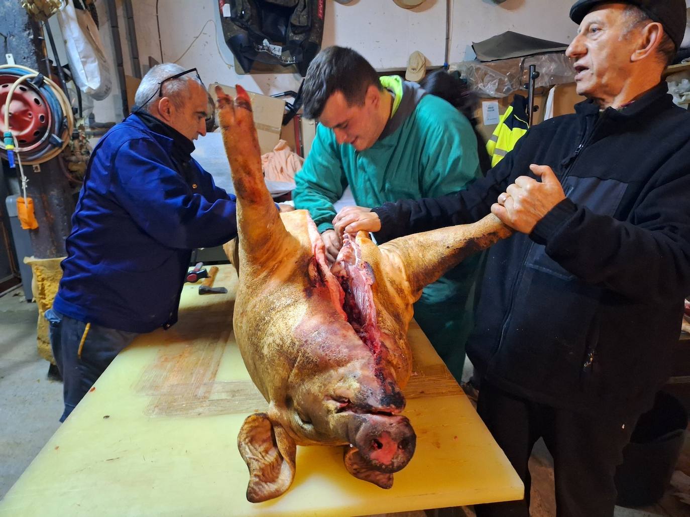 La matanza tradicional del cerdo de una familia de Rioseco, en imágenes