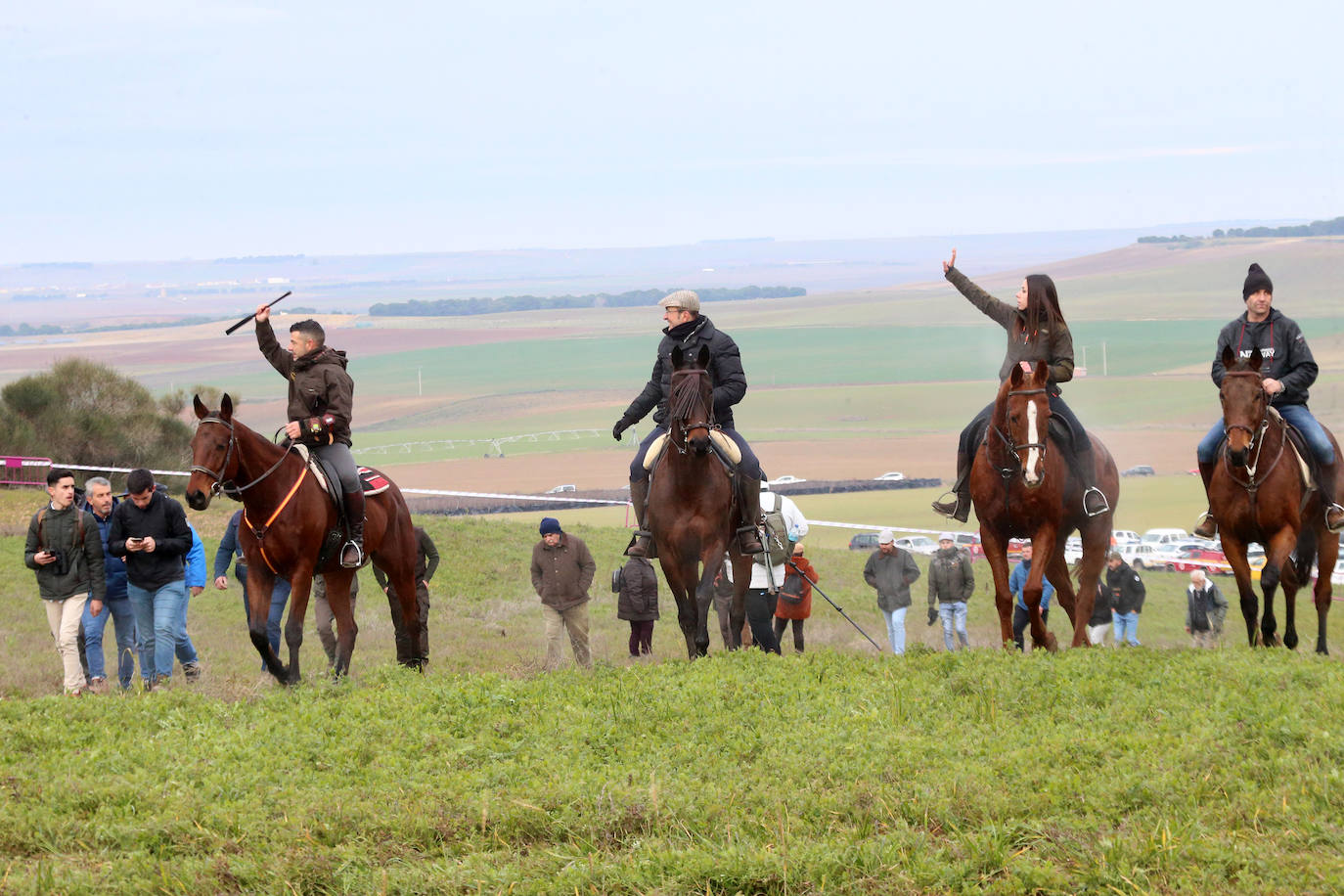 La primera jornada de cuartos de final del Campeonato Nacional de Galgos, en imágenes