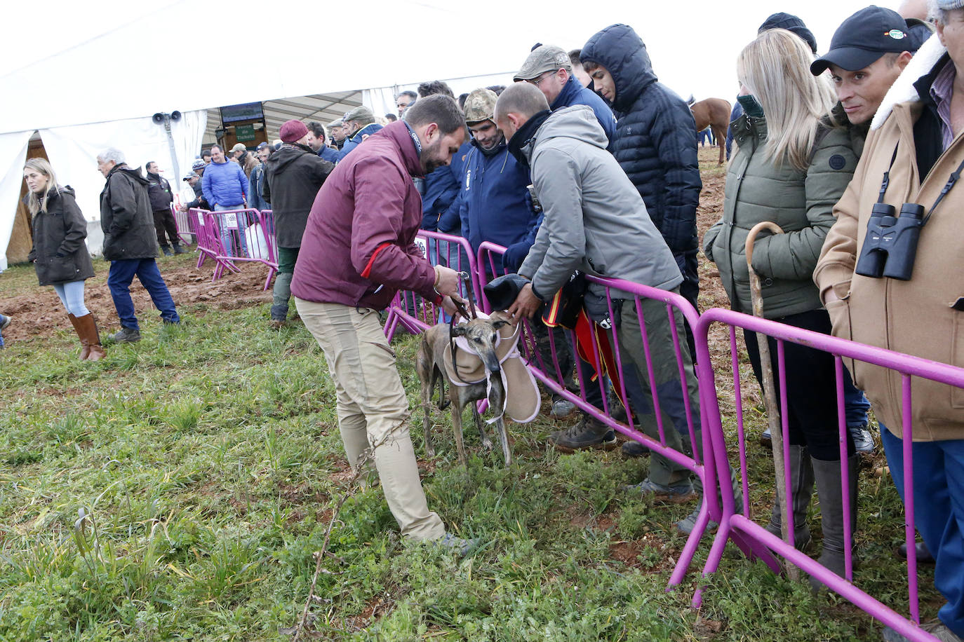 La primera jornada de cuartos de final del Campeonato Nacional de Galgos, en imágenes