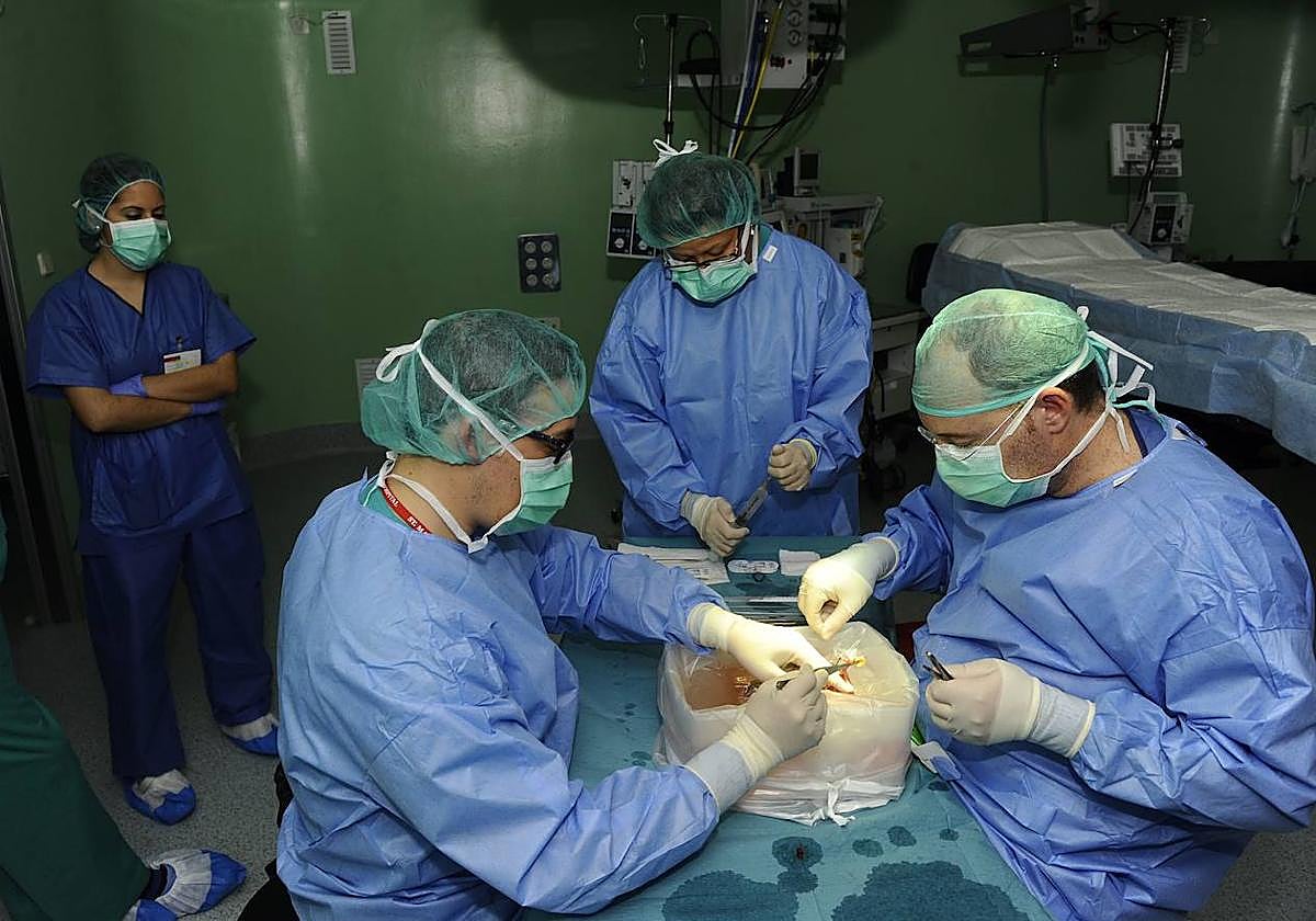 Liderazgo en solidaridad