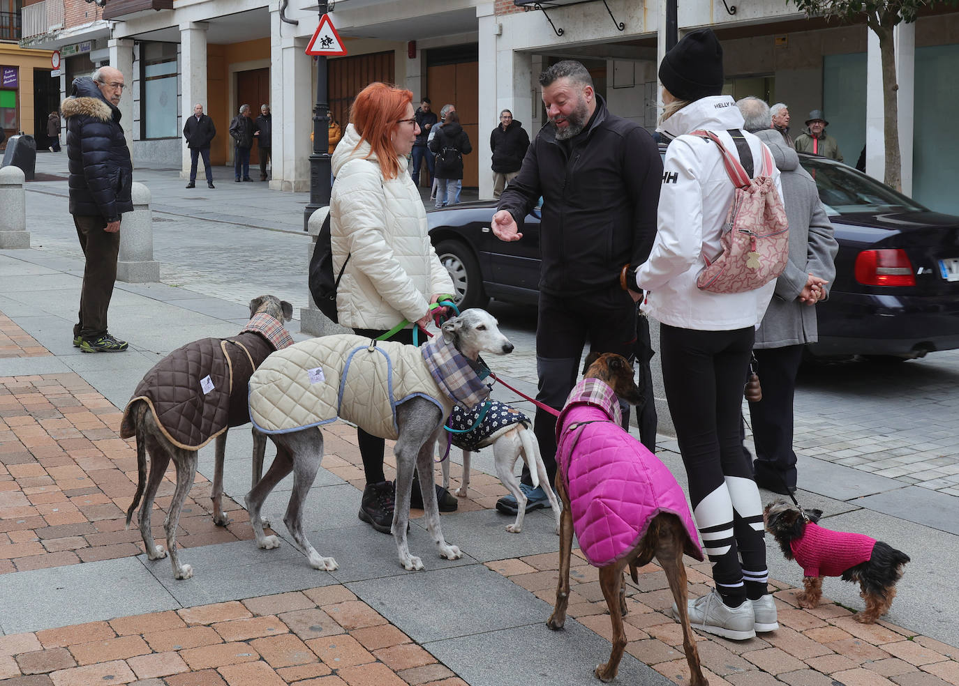 Las mascotas reciben la bendición de San Antón en la iglesia de San Miguel