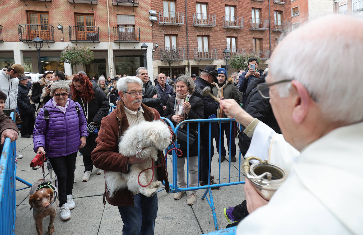 Las mascotas reciben la bendición de San Antón en la iglesia de San Miguel