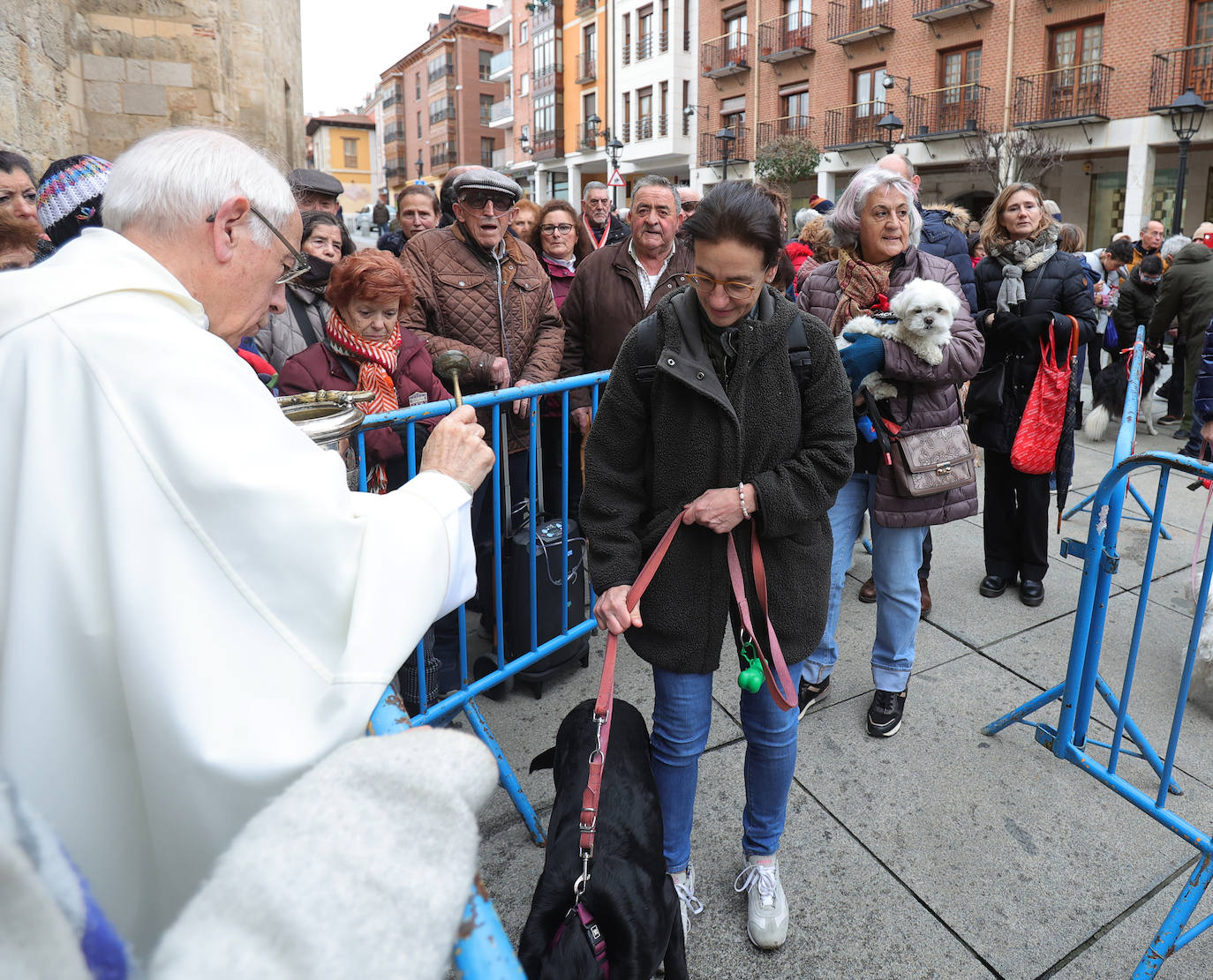 Las mascotas reciben la bendición de San Antón en la iglesia de San Miguel