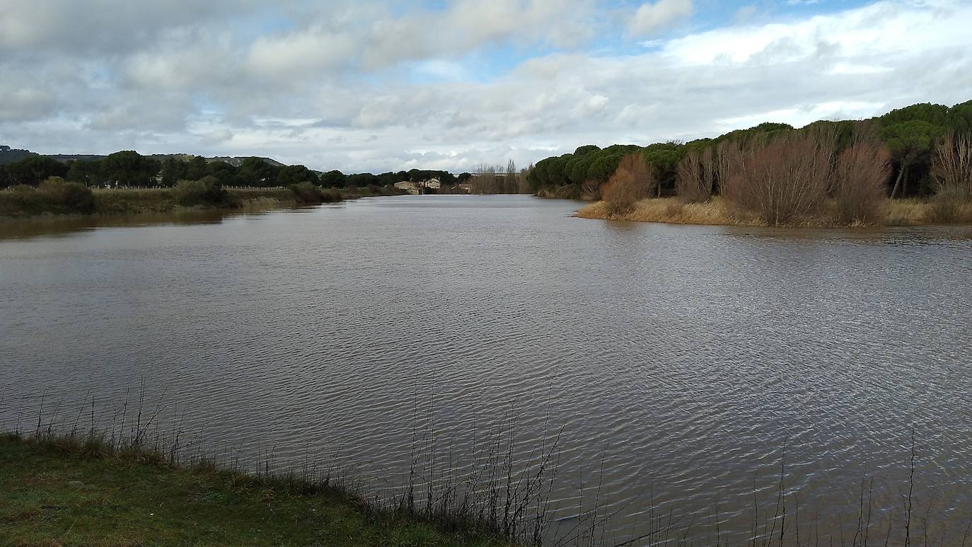 Río Pirón, antes de desembocar en el Cega, en la comarca de Íscar.