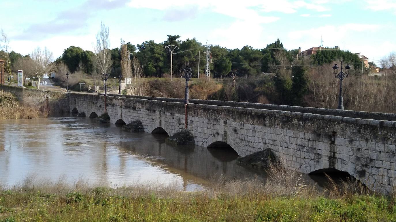 Río Cega, a su paso por la localidad vallisoletana de Mojados.