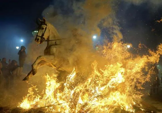 Un jinete a lomos de su caballo atraviesa una hoguera durante la celebración de este año.