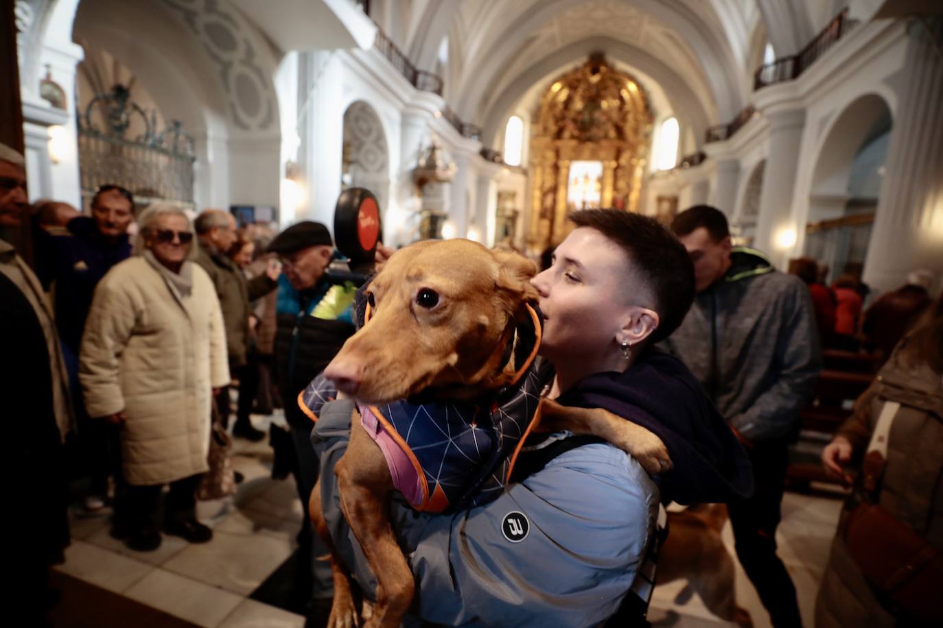 Feligreses y animales en el interior de la iglesia.