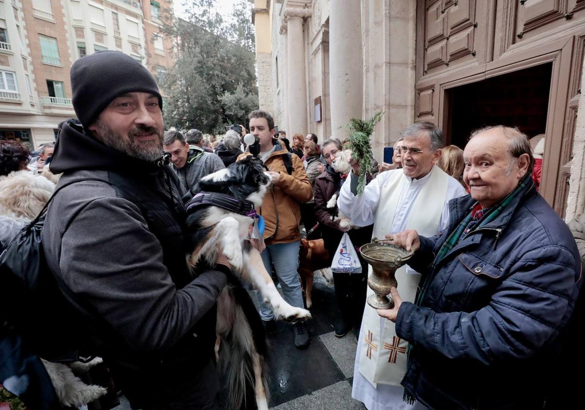 Perros y gastos bendecidos por San Antón