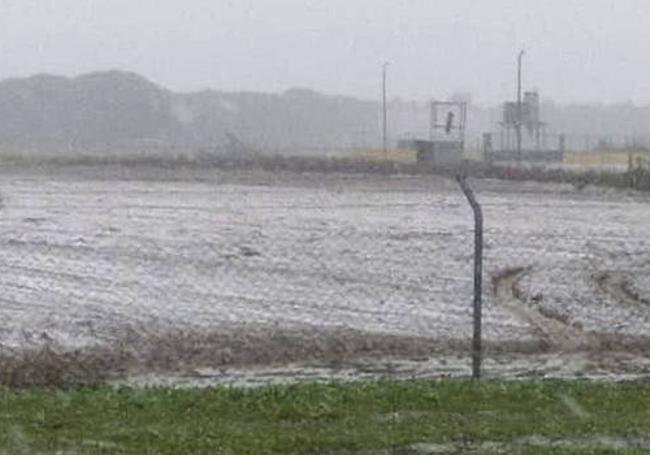 Manto blanco en Pedrajas durante la tímida nevada de primera hora de la tarde.