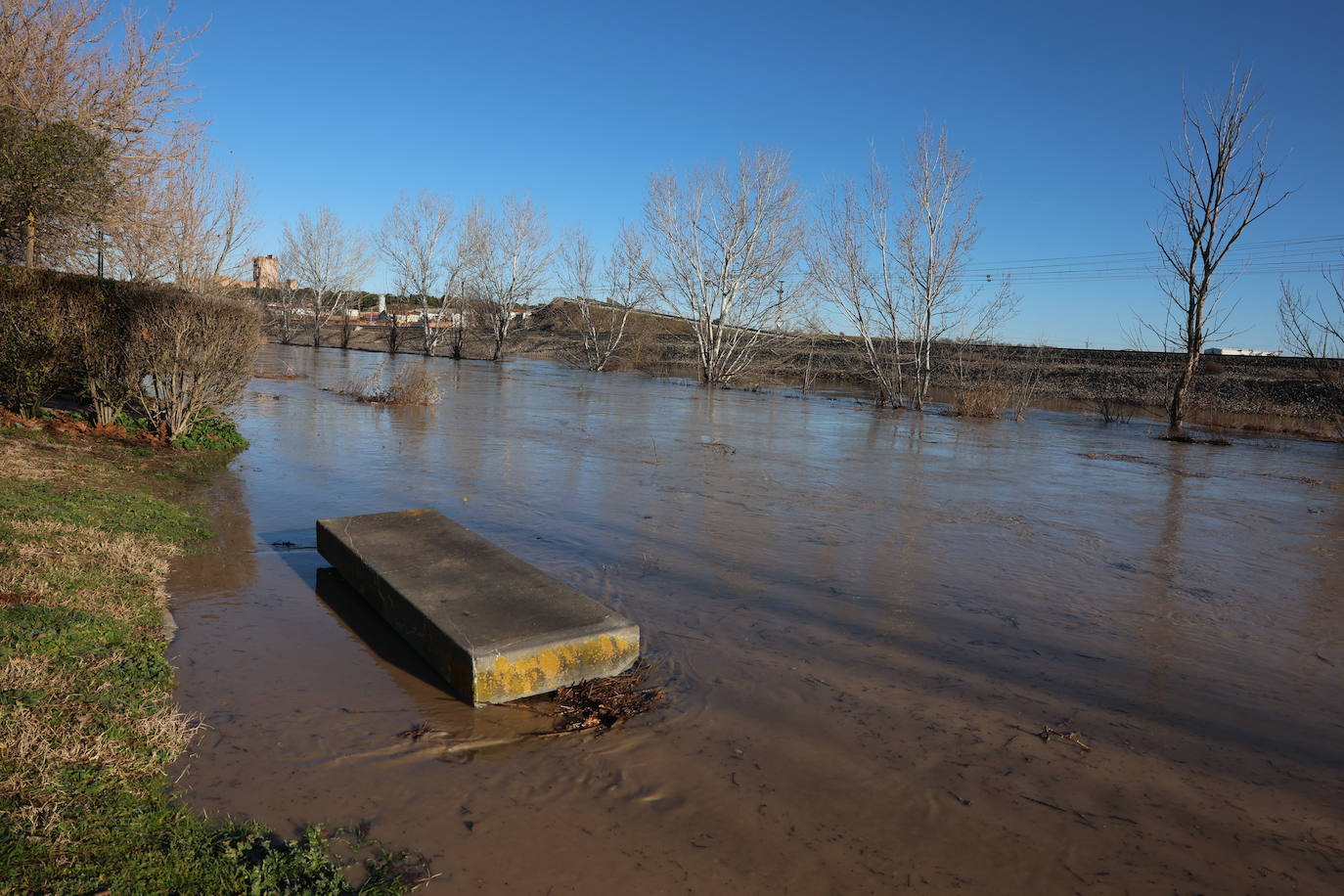 Crecida del río Zapardiel en Medina del Campo