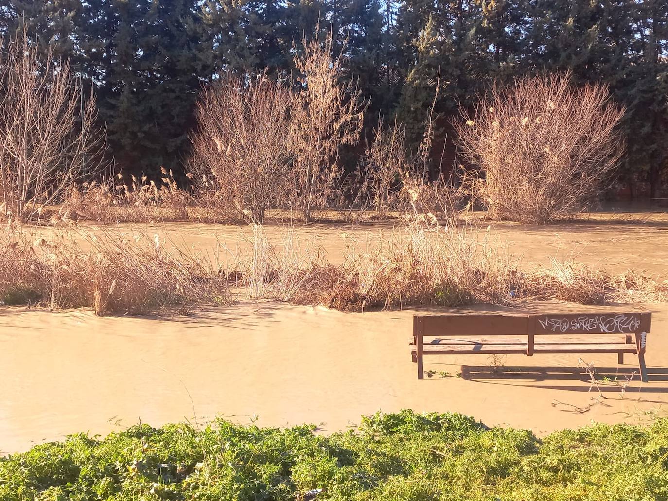 Crecida del río Zapardiel en Medina del Campo