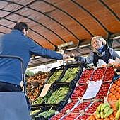 La Marquesina reparará goteras y charcos y aspira a doblar sus puestos hasta los 14