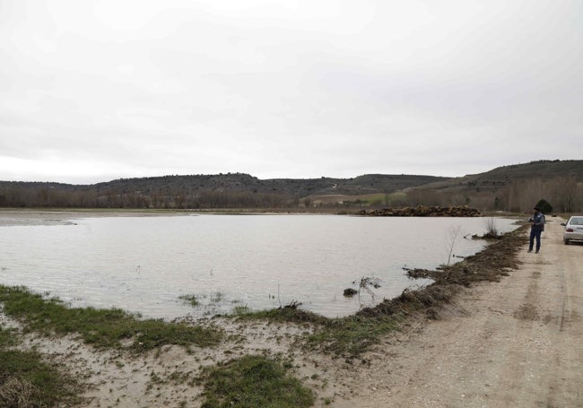 Tierra de cultivo inundada por el desbordamiento del Duratón.