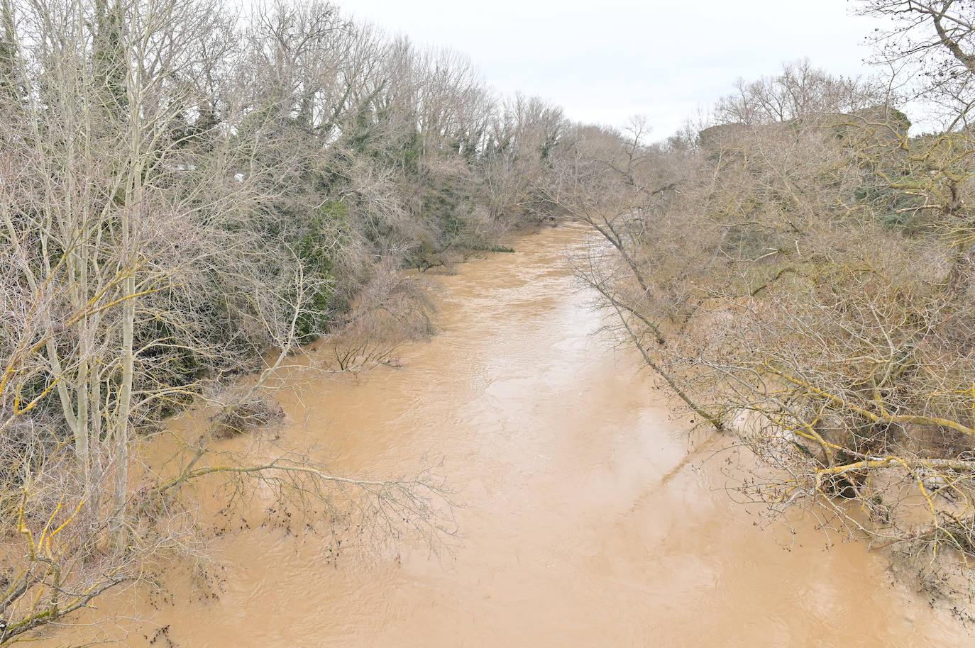 Crecida del río Duero en Herrera (Valladolid)