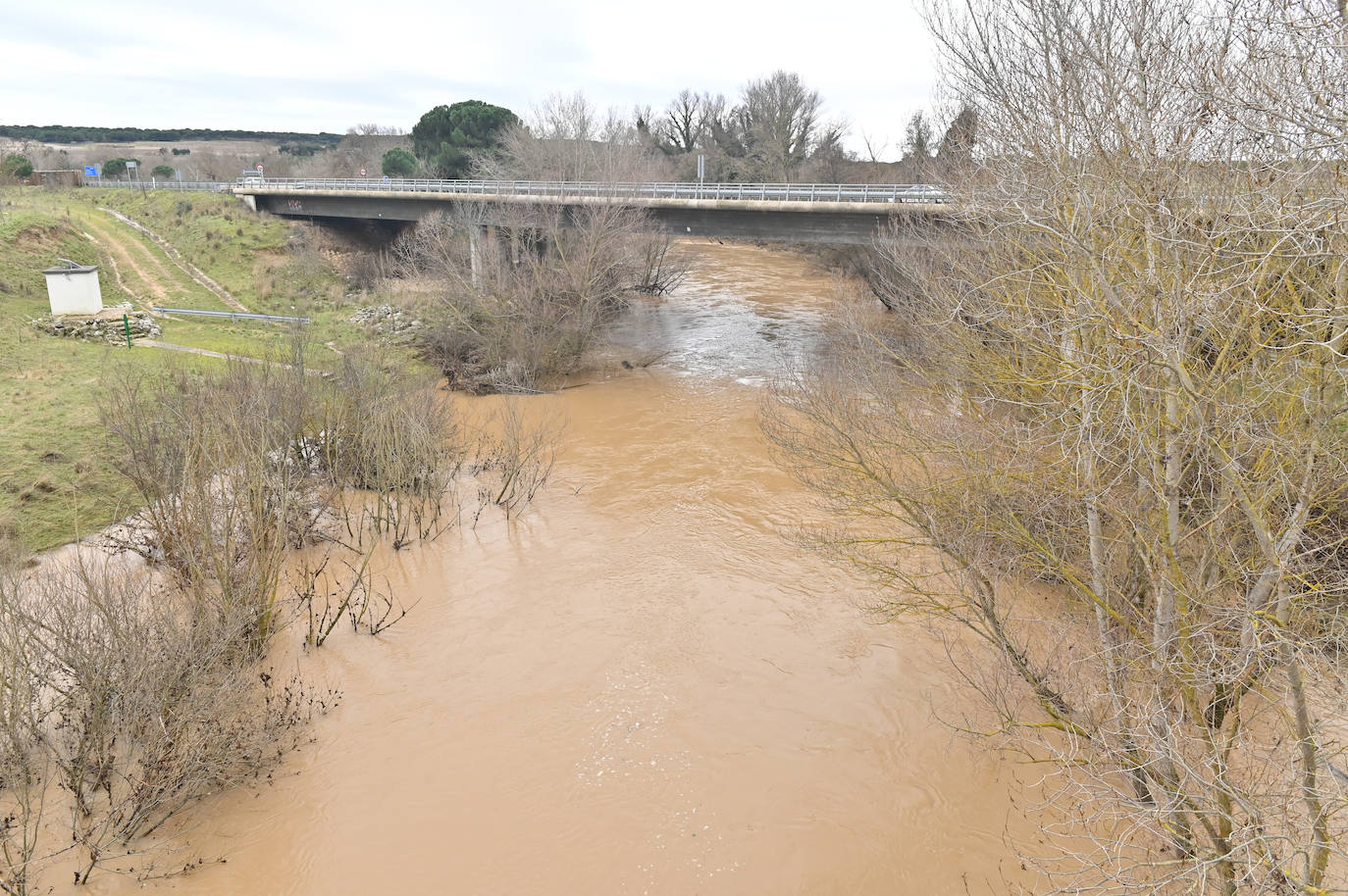 Crecida del río Duero en Herrera (Valladolid)