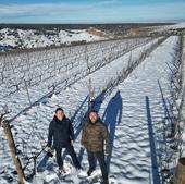 La nieve cubre los viñedos más altos de la Ribera del Duero