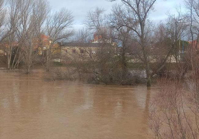 El Duero anega sus riberas en Puente Duero.