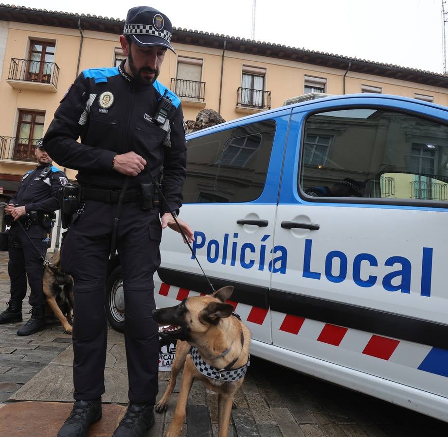 Palencia estrena la Unidad Canina con tres perros policía