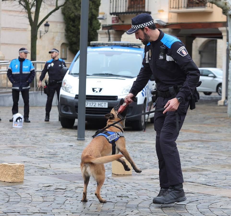 Palencia estrena la Unidad Canina con tres perros policía