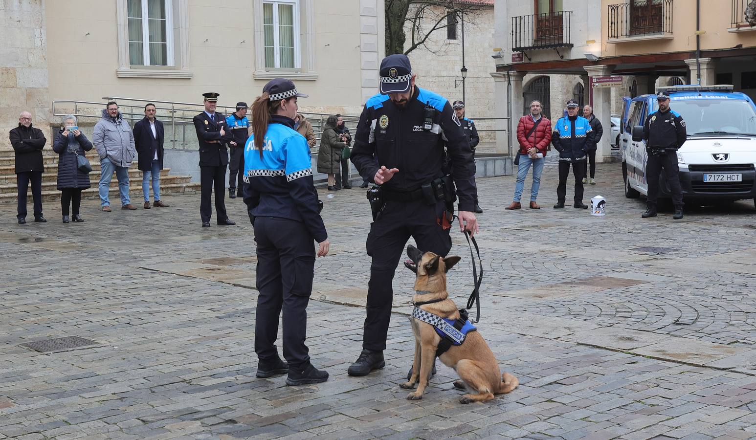 Palencia estrena la Unidad Canina con tres perros policía