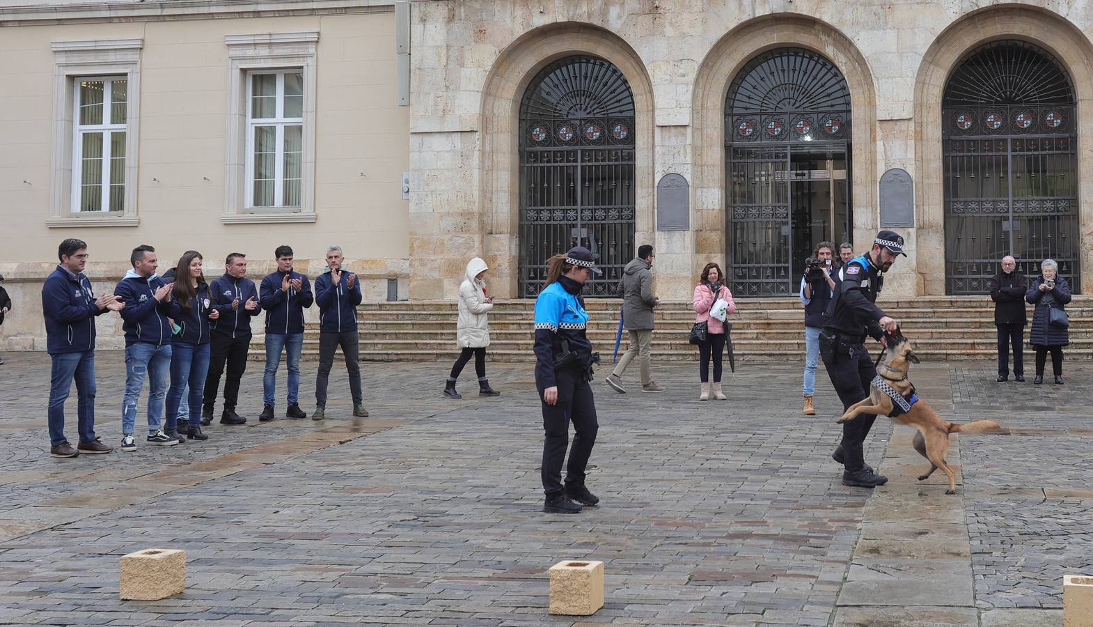 Palencia estrena la Unidad Canina con tres perros policía