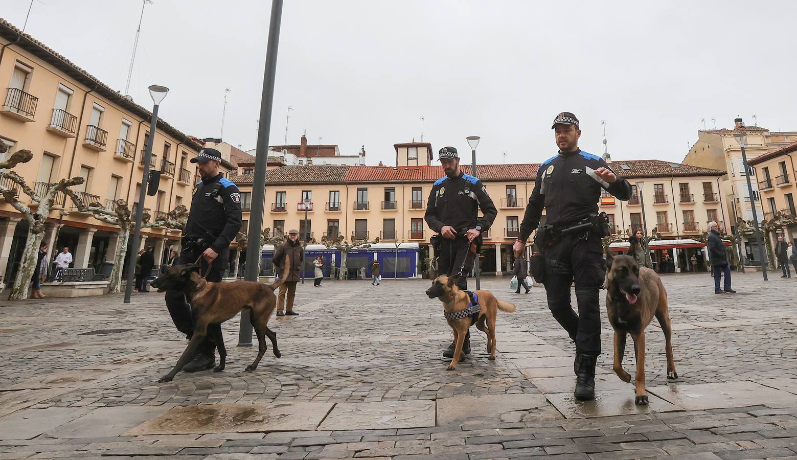 Palencia estrena la Unidad Canina con tres perros policía