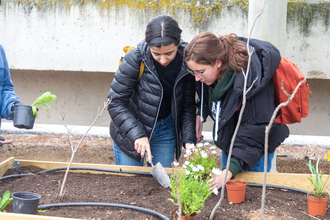 El campus de Palencia inaugura un jardín terapeútico