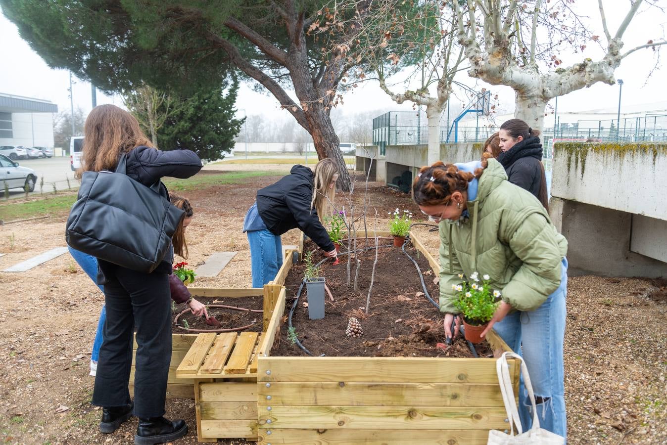 El campus de Palencia inaugura un jardín terapeútico