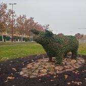 El paseo trashumante por el que la ciudad enfila hacia el Pinar de Antequera