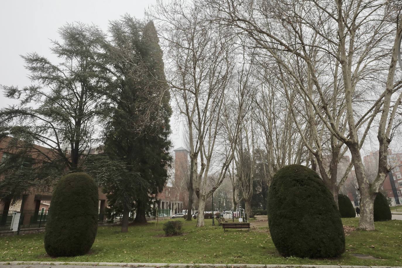 Un recorrido en imágenes por el paseo Juan de Austria