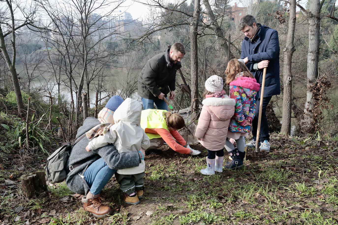 Las imágenes de la reforestación en la ribera del Pisuerga