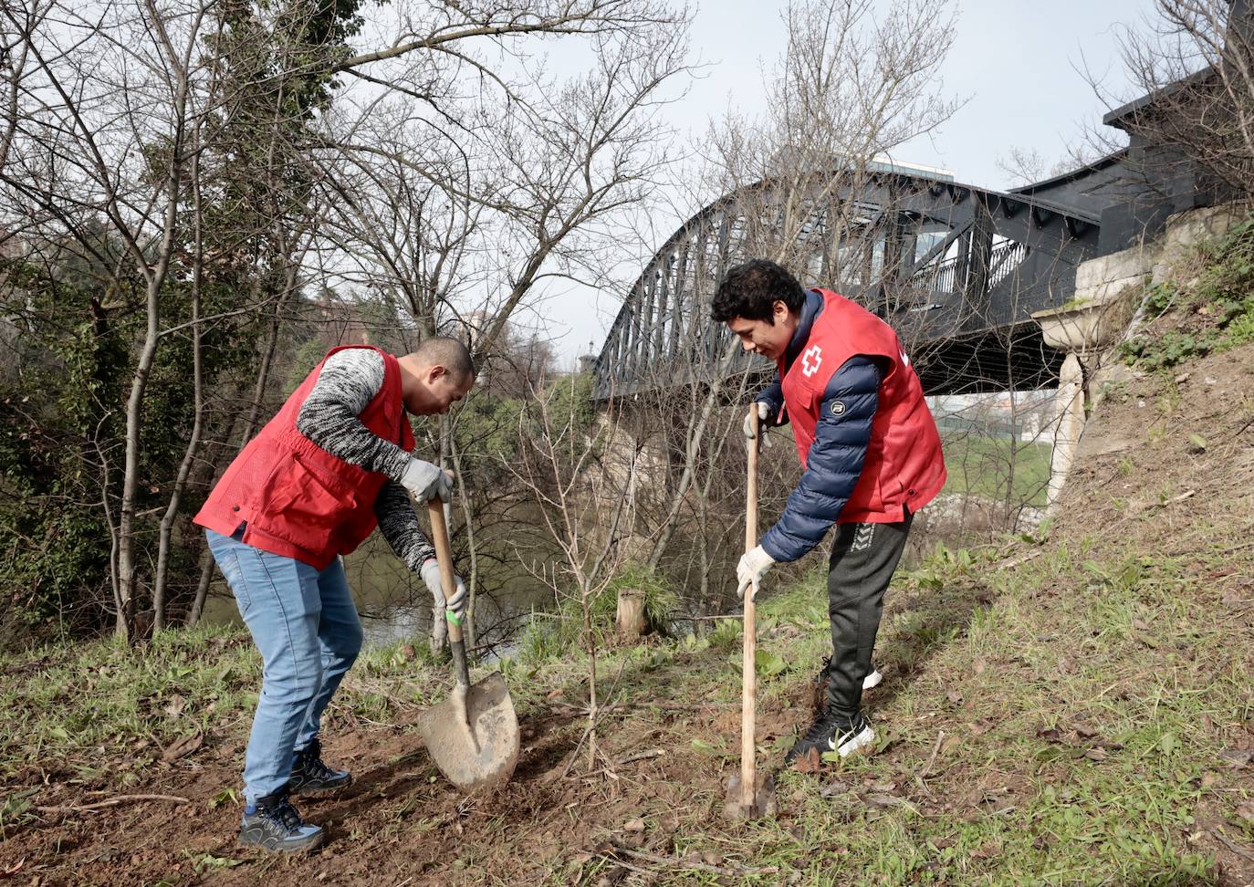 Las imágenes de la reforestación en la ribera del Pisuerga