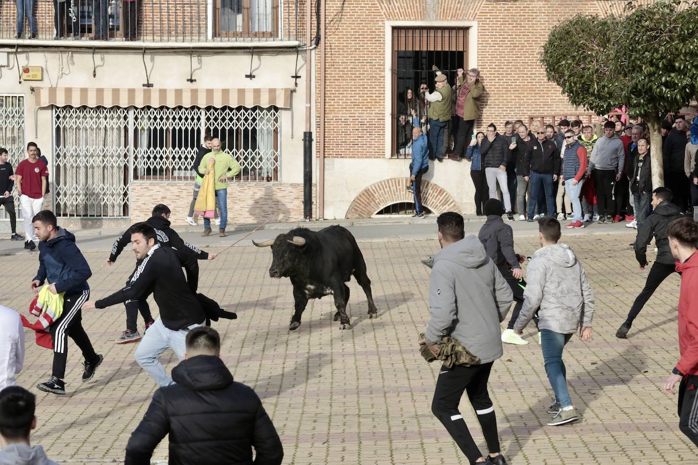 Encierro del toro del Arrope en Siete Iglesias de Trabancos