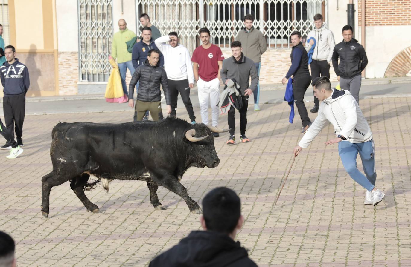 Encierro del toro del Arrope en Siete Iglesias de Trabancos