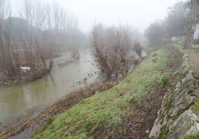 El Cega, ya en su cauce, a los pies del muro de contención construido a raíz de las riadas de 2013.